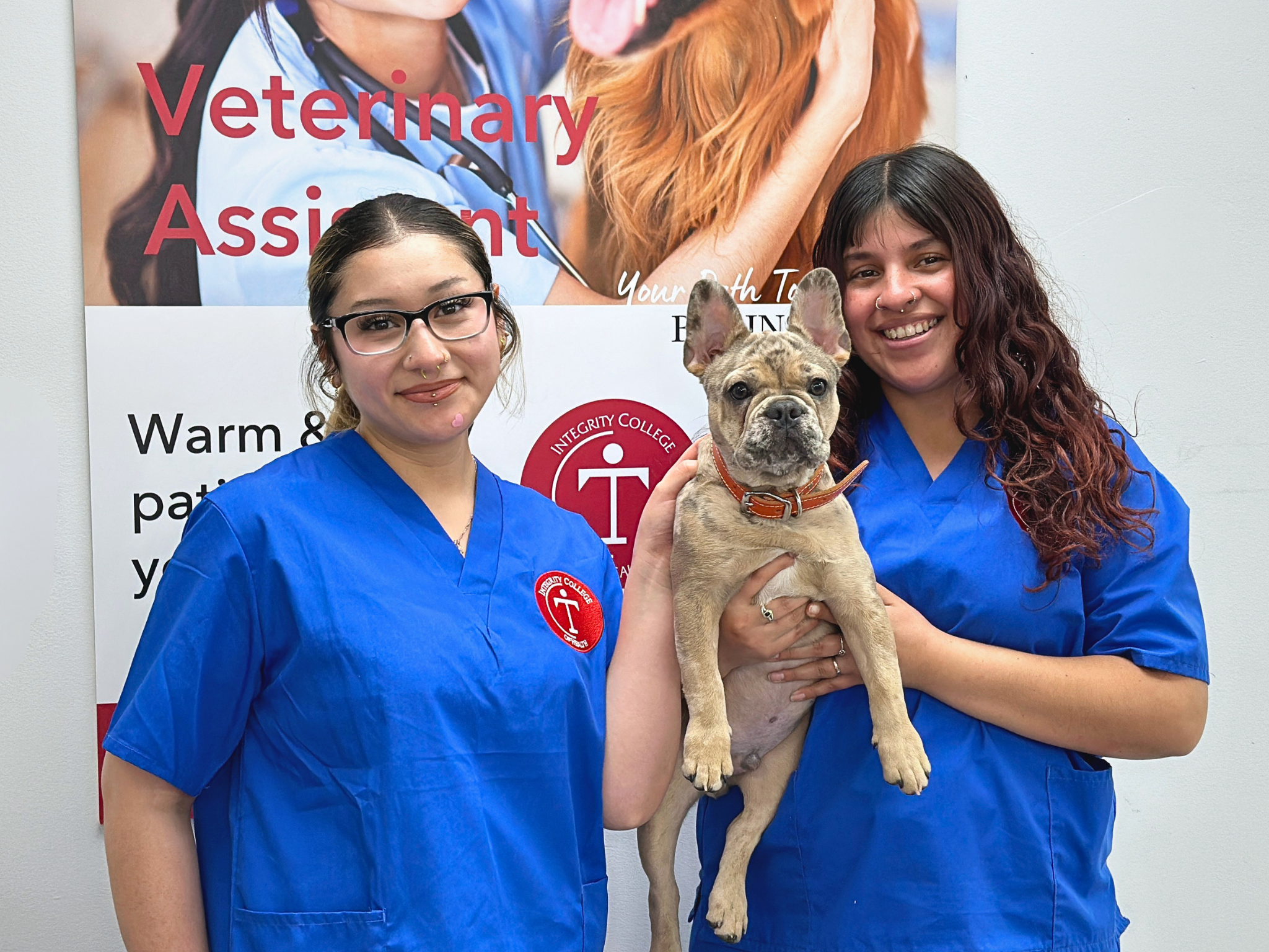 veterinary assisting